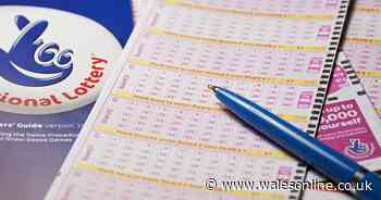 Live Lotto results for Wednesday, November 13: National Lottery winning numbers from tonight's draw