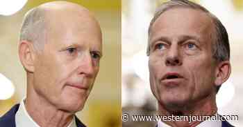 Senate Republicans Eliminate Rick Scott from Leadership Contention, Elect Former Trump Adversary