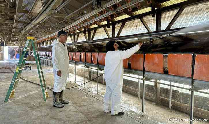 Build vaccine stockpile, use wastewater testing for H5N1 bird flu, experts urge