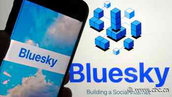 Bluesky gains more than 1.25 million followers since U.S. election