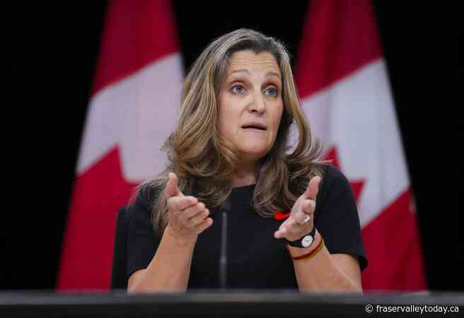 Freeland finds safety in numbers on digital sales tax