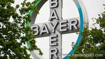 Dax-Konzern: US-Hedgefonds geht Wette auf fallende Bayer-Kurse ein