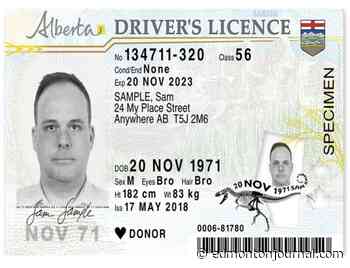 Alberta considering adding citizenship to driver's licences