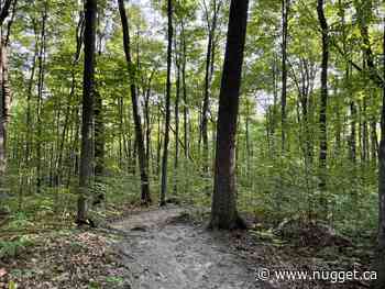 Federal funding coming for the Laurentian Escarpment trails