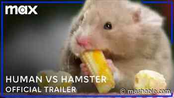 I can't believe 'Human vs Hamster' is a real show