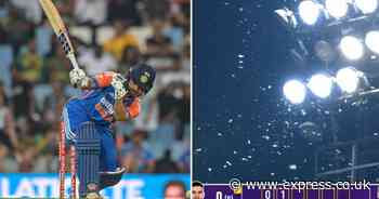 India vs South Africa cricket clash interrupted as thousands of flying ants cause chaos