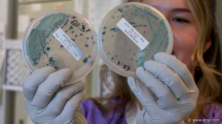 A look inside the lab that tested for E. coli in New Mexico after nationwide outbreak