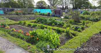 Allotment fees to increase by more than 21 per cent