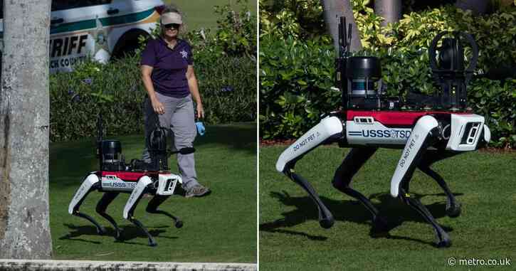 Robot dogs spotted safeguarding Donald Trump’s Mar-a-Lago home