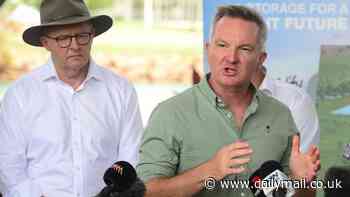 Anthony Albanese's minister shares defiant message over fears US will pull out of major Paris climate agreement and derail Australia's clean energy move