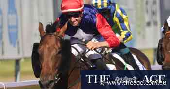 Nash Rawiller unfazed with wide barrier for Coal Crusher in The Hunter