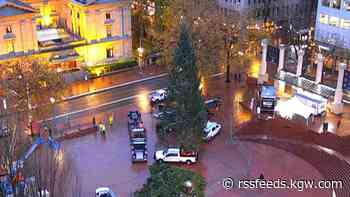 Pioneer Courthouse Square Christmas tree arrives in Portland for the holiday season