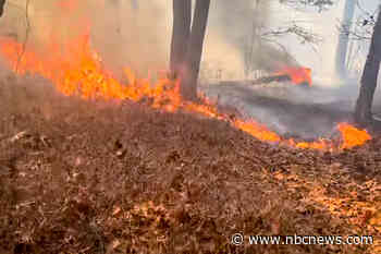 New York firefighter accused of intentionally setting brush fire on Long Island