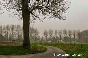 WEER. Eerst zwaarbewolkt met lichte regen, later droog