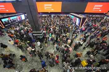 Euston station’s marble columns ‘would fall off’ without bands, rail minister admits