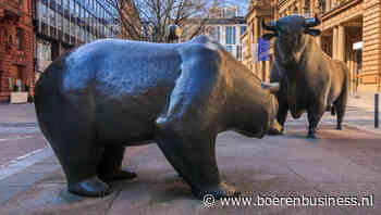 Bears winnen het van de bulls op oliemarkt