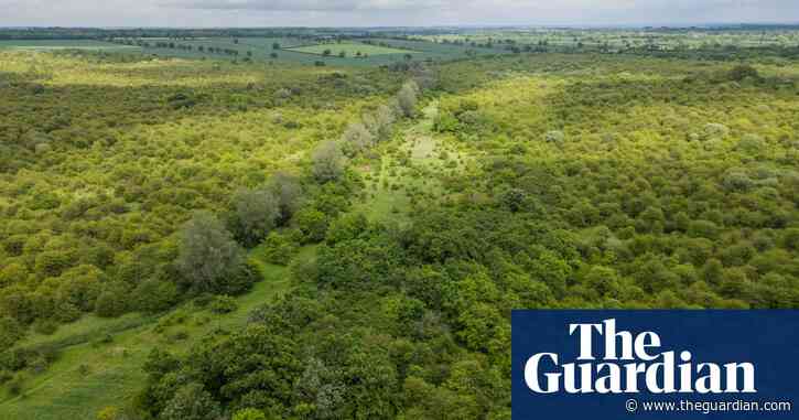 ‘A special place’: Guardian readers’ generosity helps to save rewilded farm