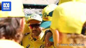 Live text: Australia looks for revenge over Pakistan in first T20I at the Gabba