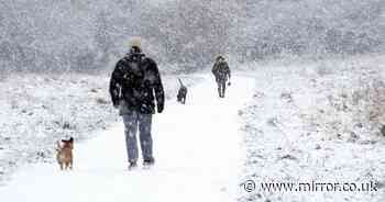 Met Office snow verdict revealed as -3C Baltic blast set to hit Brits in days