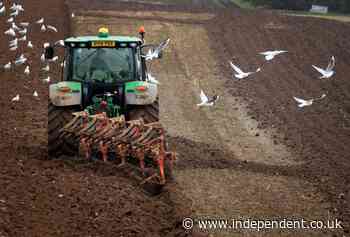 Government confusion over how many farms will be hit by controversial tractor tax