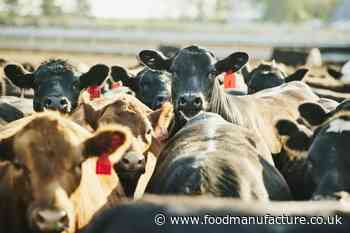 Meat and dairy methane emissions 'continue to go unchecked'