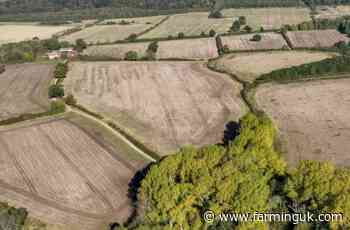 Yorkshire estate to rewild arable land as part of 30-year project