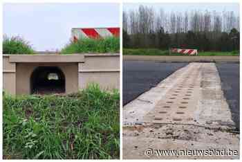 Amfibieëntunnels garanderen veilige overzet in Gondebeekvallei