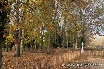 Nieuwe hondenweide in Leopold II-park heeft riante afmetingen