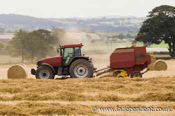 Farm incomes plummeted by 50% in a year, official figures reveal as fears grow over ‘tractor tax’