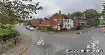 Wincanton 'kidnapping': Girl 'chased down street and bundled into car'