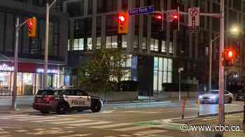 Man dies after being stabbed near Fort York