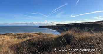 Rare County Durham coastal habitat to be restored thanks to £1m funding boost