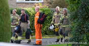 Woman released police investigating three deaths at care home