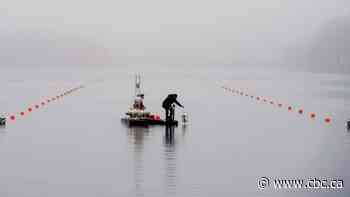 Data shows many Halifax lakes have high salt levels