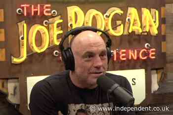 Harris aide reveals real reason Joe Rogan podcast interview never materialized