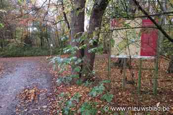 Bouckenborghpark groeit dankzij grote schoonmaak en aanleg vlonderpad