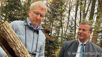 Kleine Verschnaufpause für Wald - aber Forstminister warnt