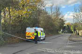 Homes evacuated after explosives found at property in Ely, Cardiff - live updates