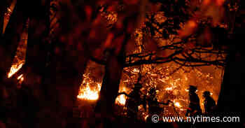 Brush Fire Burns in Inwood Hill Park in Manhattan