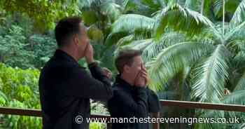 ITV I'm A Celebrity's Ant and Dec 'break down in tears' as fans respond to jungle update