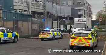 LIVE updates as Northumberland Park station CLOSED after person hit by train