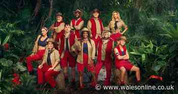 Stats show who is most likely to win I'm A Celeb this year