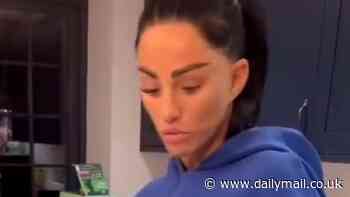 Katie Price is slammed by fans for being 'unhygienic' as they spot her hairless cat eating out of her sink while she cooks family meal