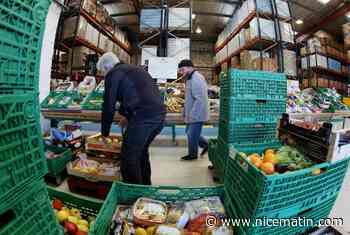 "Leur avenir, c'était de disparaître. C'est malheureusement l'inverse aujourd'hui"... La Banque alimentaire lance sa 40e collecte annuelle