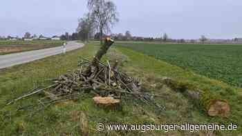 Glasfaserausbau und ein gefällter Baum sind Themen in Reisch