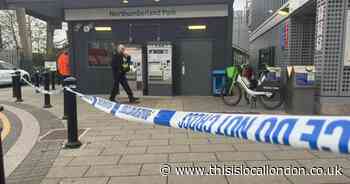 Person dies after being hit by train near Northumberland Park station