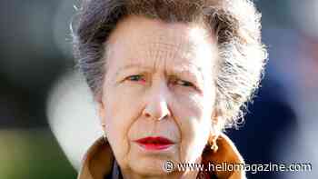 Princess Anne's seven-word shock statement on divorce from first husband Mark Phillips