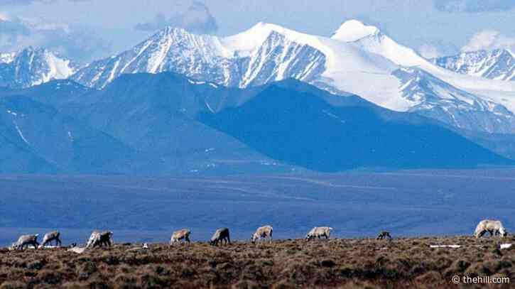 Biden administration backs contested Alaska wildlife refuge road