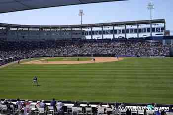 Hurricane-stricken Tampa Bay Rays to play 2025 season at Yankees' spring training field in Tampa