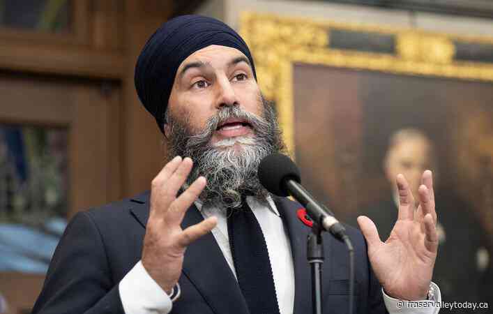 NDP expected to unveil campaign pledge to remove GST on internet, heat, diapers, more